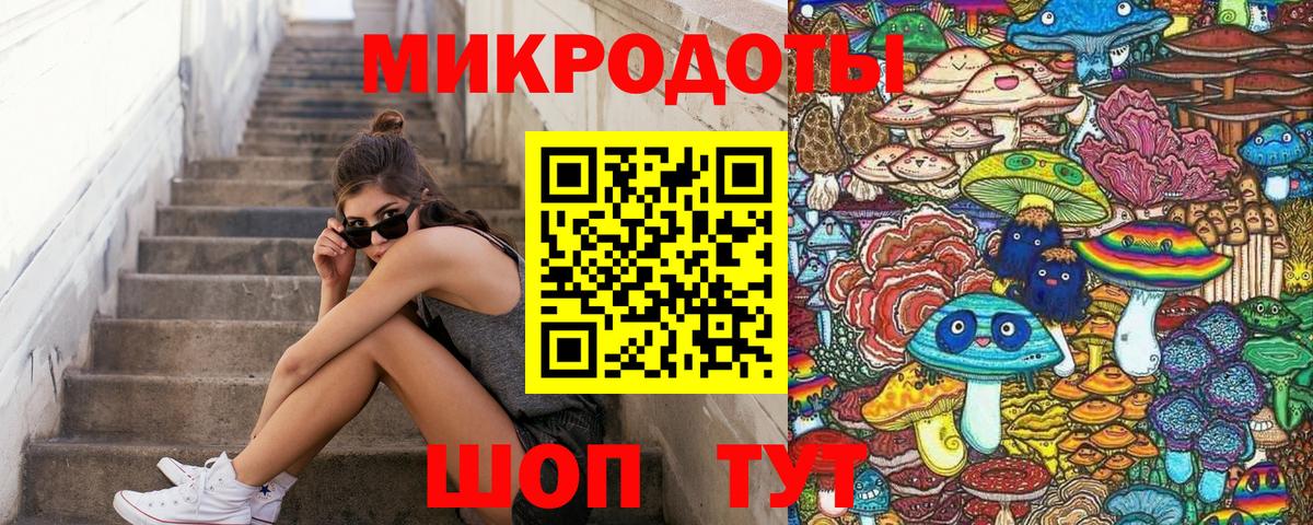 Галлюциногенные грибы Psilocybe Свободный