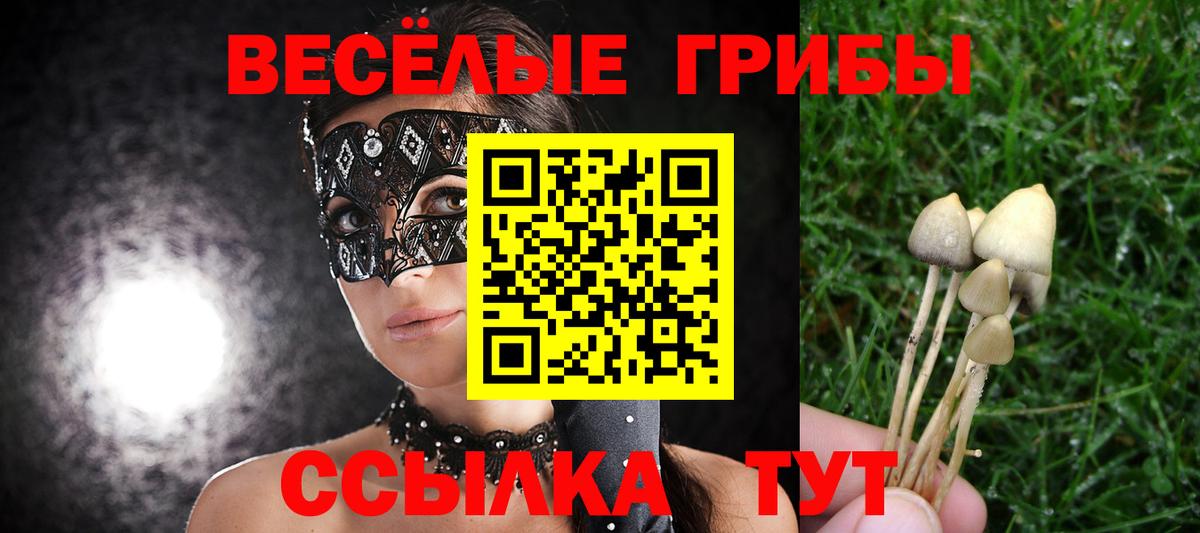 Галлюциногенные грибы ЛСД  Вход с VPN  Свободный 
